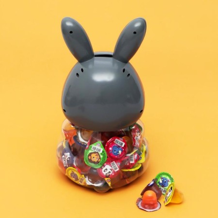 DEMENTARY LEARY "CAN CLOW" Rabbit, Assorted +Piggy Code, 13 g-4