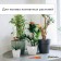 Auto -polyoves for indoor plants Greengo for a bottle, adjustable, with a tap, of plastic, height 15 cm, mix