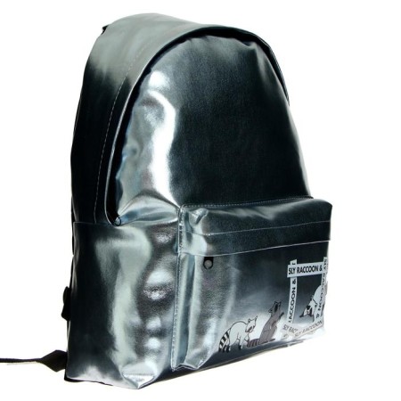 Youth backpack Calligrata "Enotic" + Penal - cosmetic bag, 38 x 30 x 11 cm, holography-2