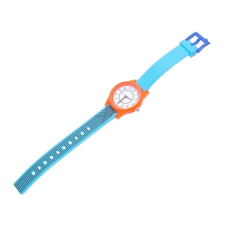 Watch of Berrier D-2.5 cm-1