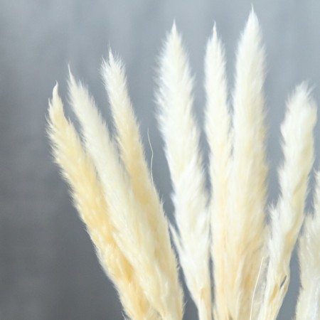 Sukhotzet "reed" set 15 pcs, beige color-1