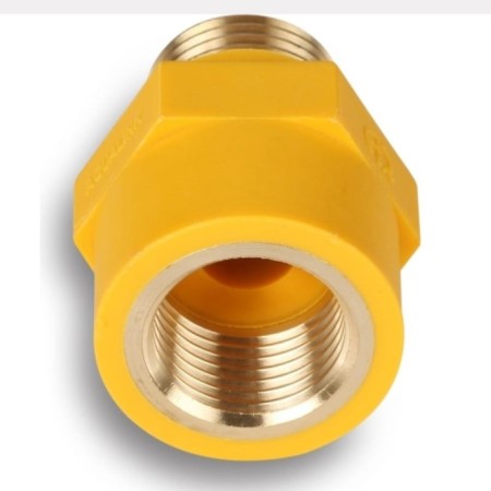 Dielectric coupling Aqualink, 3/4 ", for gas eyeliner, internal/external thread-2
