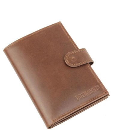 Cover for auto documents on a button, a passport department, and bills, brown color