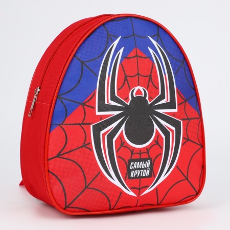 Baby backpack for the boy "Spider", district. 23x20.5 cm