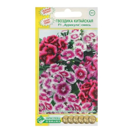 Cloves of Carnation Chinese "Aurikula", mixture, F1, 7pcs