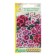 Cloves of Carnation Chinese "Aurikula", mixture, F1, 7pcs
