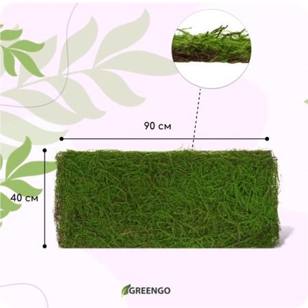 Decorative panel, 90 × 40 cm, "moss", Greengo-1