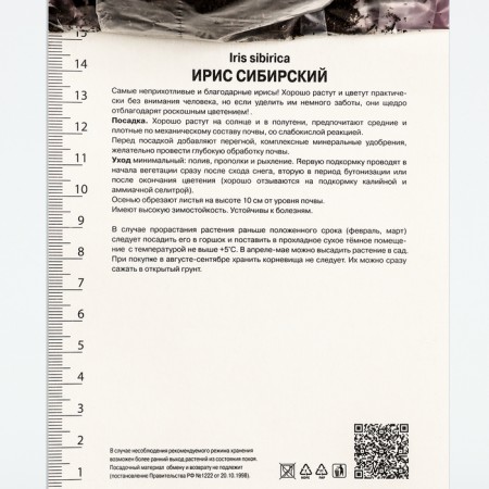 Iris Siberian magnetism, rr I, 1 pc, spring 2025-3