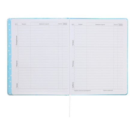 Universal diary for grade 1-11 Cool Girl, hard cover, artificial leather, silkography, lies, 80 g/m2-7