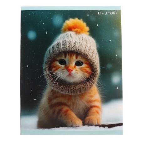 Notebook of 48 sheets in the cage "Winter cats", covered cardboard, matte lamination, selective UV-lame, block 60g/m2, mix-5