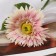 Artificial flowers "Terry Astra" 46x10 cm, pink