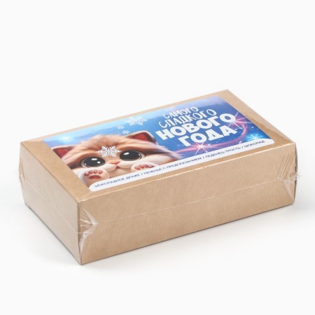 Minihiftbox "Sweet New Year": dragees, cookies, lollipop, chocolate-8