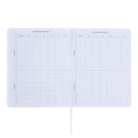 The universal diary for grade 1-11 "Do not need me to be nervous!", Soft cover, artificial leather, silkography, lies, 80 g/m2-4