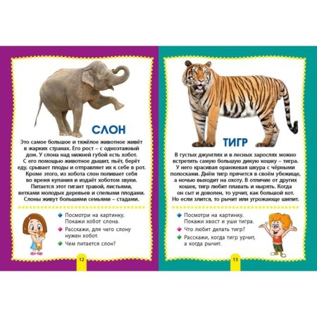 Animals of the world. Photo book for the smallest-1