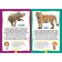 Animals of the world. Photo book for the smallest