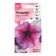 Flowers of Petunia "Mirage Shuga", 10pcs