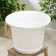 Pot with the Podon "Lausanne", 25 l, the color is white