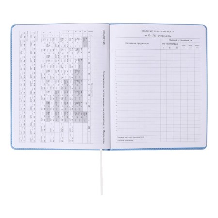 Universal diary for grade 1-11 Modern Concept, solid cover, artificial leather, silkography, liesse, 80 g/m2-10
