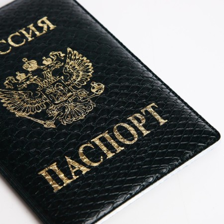 Cover for passport, green color-4