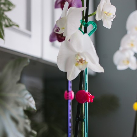 Support for orchids, h = 44 cm, plastic, turquoise, mix-5