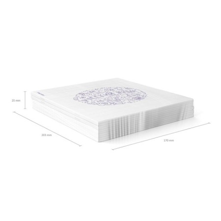 Subject notebook, 48 sheets, ruler, Russian language Erichkrause "Chaos", plastic cover silk-screen cover, block offset 100%, information block-6