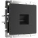 Ethernet RJ-45 WL08-RJ-45 socket, black color