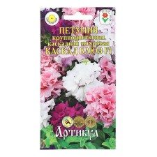 Flowers of Petunia Flowers Large -flowered terry 
