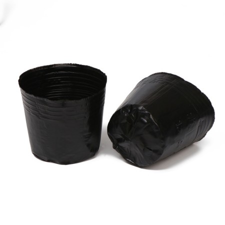 Polyethylene pots for seedlings, 800 ml, 11 × 11 × 10 cm, thickness 50 μm, black, Greengo-6