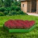 The flowerbed is galvanized, D = 140 cm, h = 15 cm, bright green, Greengo
