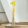 Sukhotzet "Lagurus", set of 30 pcs., Yellow color