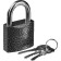 Stayer Standard castle hinged, metal case, hardened puff, 50 mm