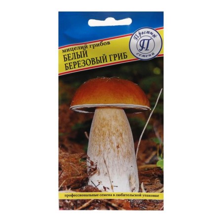 Mycelium mushrooms white mushroom birch, 60 ml