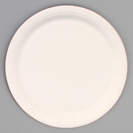 Paper plate "Unicorn", 6 pcs.-2