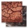 Photophone bilateral cardboard density 350 g "Earth" 50x50 cm