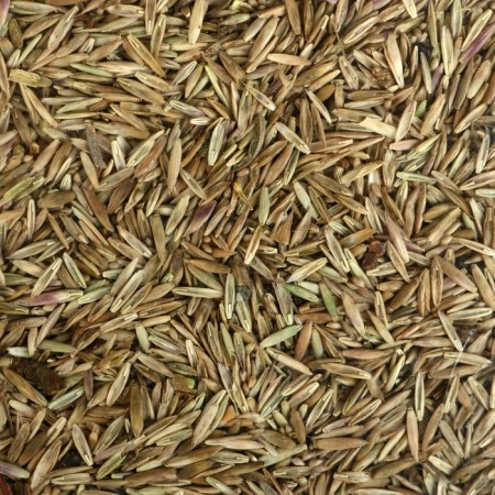 Lawn "Beauty", "Sports", 1 kg-3