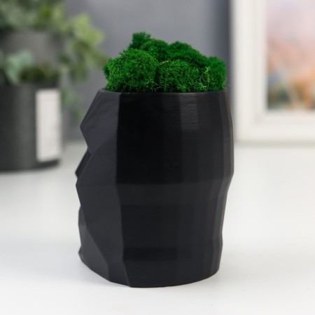 Concrete Kashpo "Head" with moss height 8.5 cm black (moss green stabilized)-2
