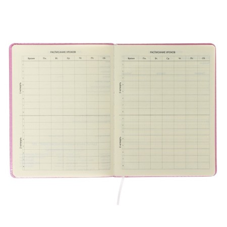 The universal diary for grade 1-11 is true or something?, Firm cover, artificial leather, foam rubber, lies, 80 g/m2-4