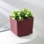 The color is dark cherry