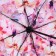 Umbrella with the inner print "Watercolor flowers", 8 spokes
