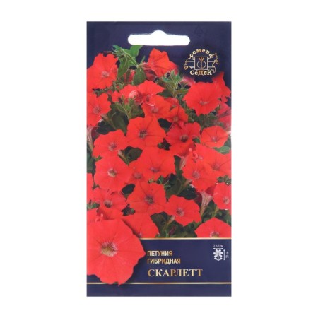 Flowers of Petunia "Scarlett", Euro, 5 pcs
