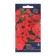 Flowers of Petunia "Scarlett", Euro, 5 pcs