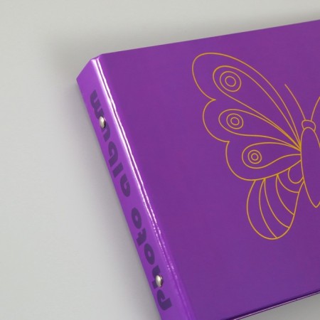Photo album 25 sheets (corners+rings) "Butterfly" embossing 19x27x3 cm-6