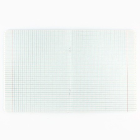 A notebook in a cage, 48 sheets A5 on a paper clip 5 pcs., Inner block No. 2 MIX “September 1: typical student” Twin Lac, UV lacquer-2