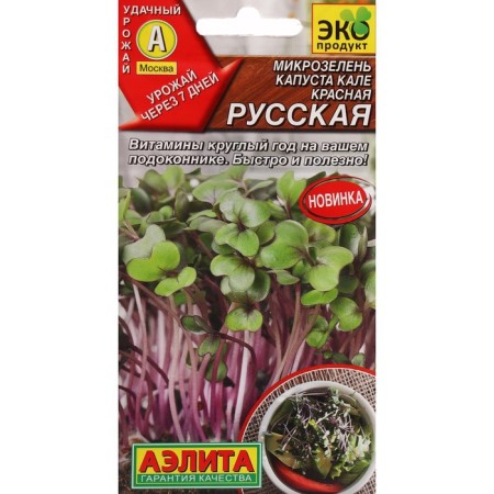 Seeds microwave cabbage kale "red Russian", c/p, 3 g