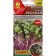 Seeds microwave cabbage kale "red Russian", c/p, 3 g