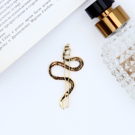 Hair clip "Snake" 6 cm, gold-1