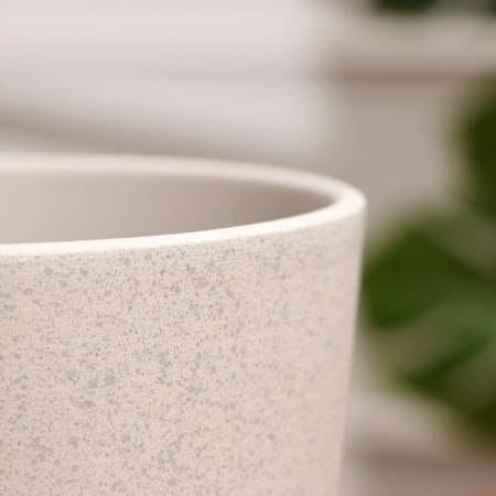 Flower Pot "Laksheri" White Platan No. 4, 3.2 l-2