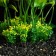 Artificial aquarium plant, 15 cm, green