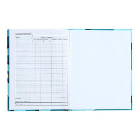 Diary for grades 1-11, solid cover "Vlad A4", 40 sheets, glossy lamination-7