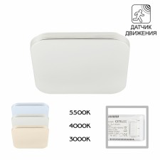 Светильник накладной Citilux «Симпла» CL714K24SV, 28,5х28,5х6,5 см, 1х24Вт, LED, цвет белый